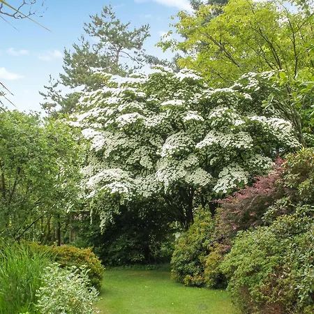 Garden Holiday home St Austell