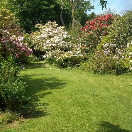 Garden * St Austell